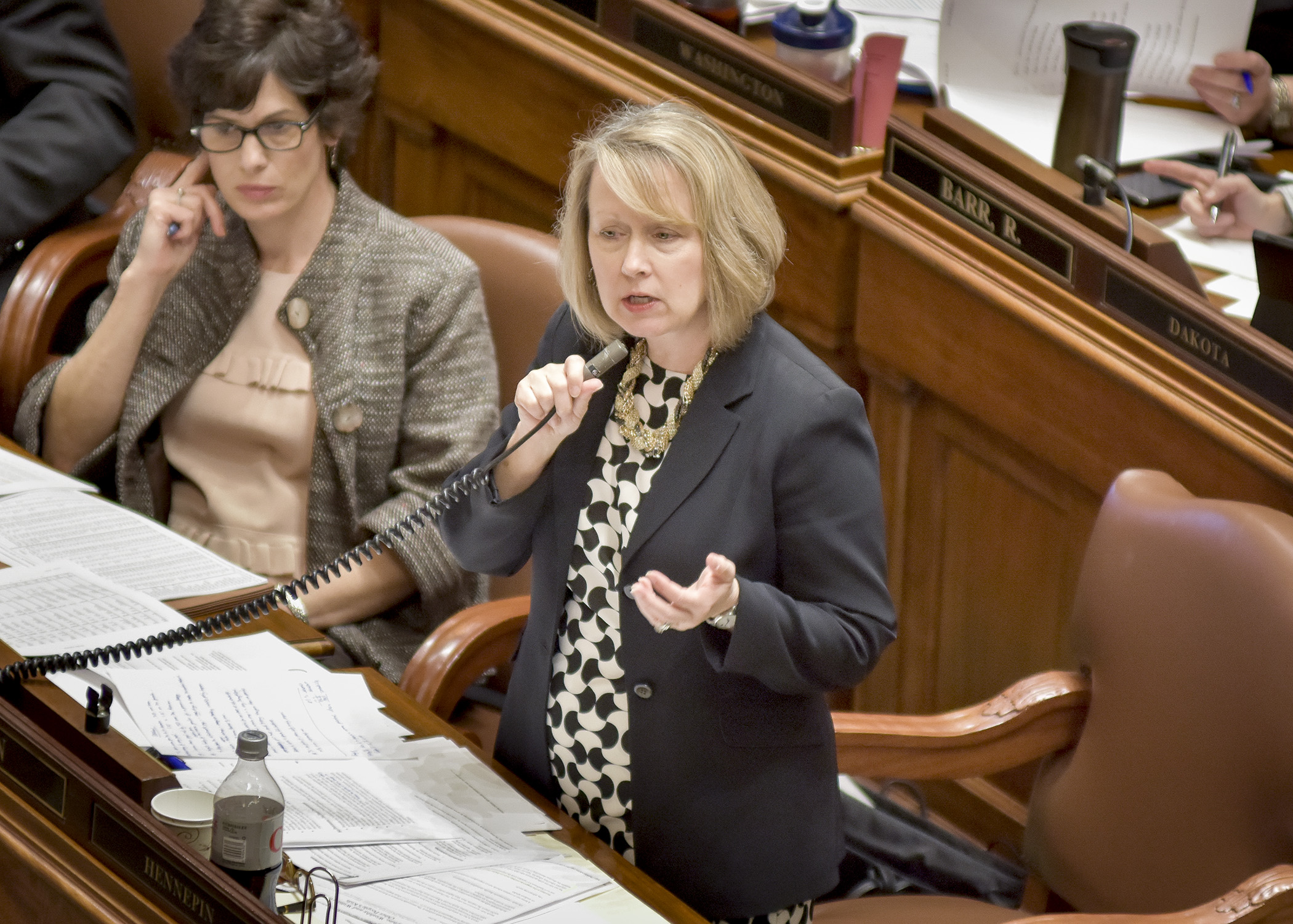 Rep. Jenifer Loon presents the omnibus education finance bill on the House floor March 31. Photo by Andrew VonBank